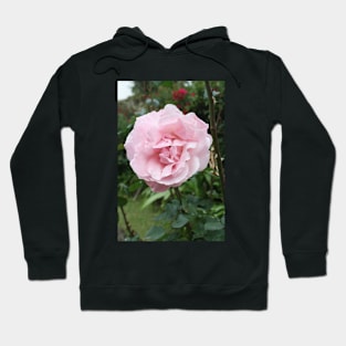 Rose photo Hoodie